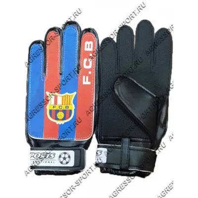 Вратарские перчатки Nike Jr CQ7795 цена | kaup24.ee