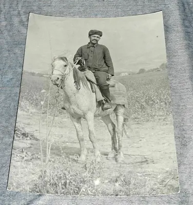 Леонардо да Винчи - Лошадь и всадник, 8×12 см: Описание произведения |  Артхив