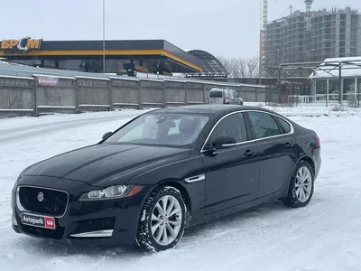 Довожу ягуар до идеального состояния. — Jaguar XF (1G), 3 л, 2013 года |  покупка машины | DRIVE2