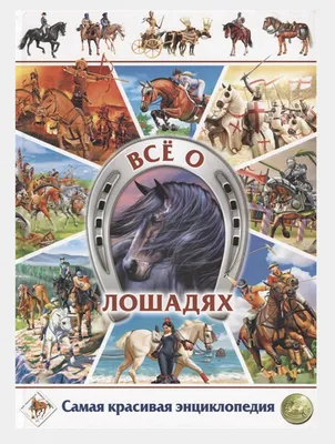 Всё о лошадях. Самая красивая энциклопедия 12+ купить по цене 711 ₽ в  интернет-магазине KazanExpress