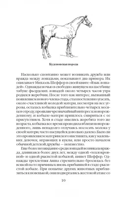 Иллюстрация 5 из 8 для Все о лошадях. Полное руководство по правильному  уходу - Игорь Скрипник |