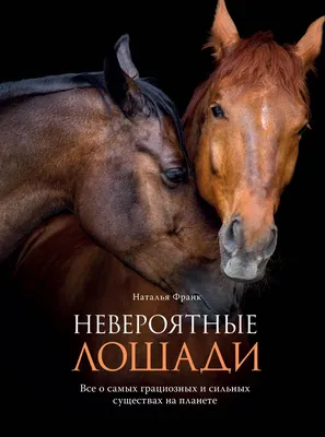 Все про лошадей( породы,масти,статьи). | Facebook