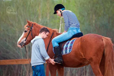 Лошади и всё о них🇷🇺Equestrian (@_onhorseback___) • Фото и видео в  Instagram | Лошади