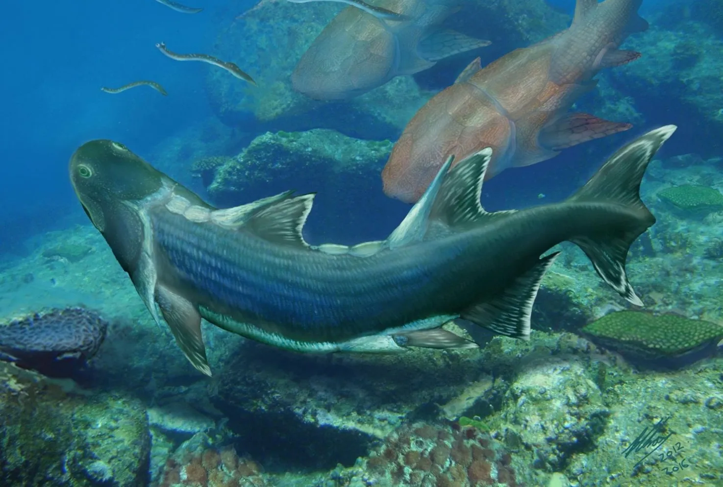 Какими были первые рыбы. Акулы девонского периода. Древние рыбы. Доисторические рыбы. Древние акулы.
