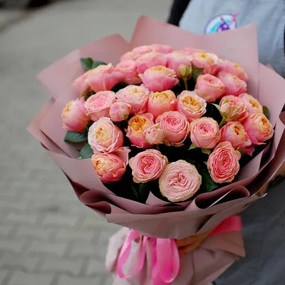 Вувузела, Цветы и подарки в Ереване, купить по цене 5025 руб, Монобукеты в  Florist с доставкой | Flowwow