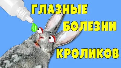 Болезни глаз у кроликов - YouTube