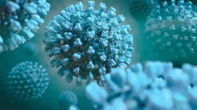 Симптомы коронавируса – первые признаки, профилактика, по дням, без  температуры