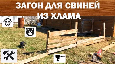 Загон для свиней из хлама - YouTube