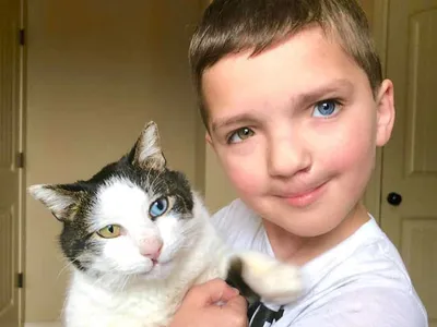 Мальчика с разными глазами и заячьей губой, которого унижали в школе, спас  кот - KP.RU