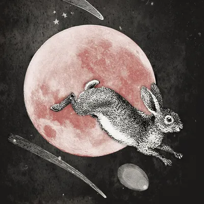 Картинки заяц на луне - 73 фото