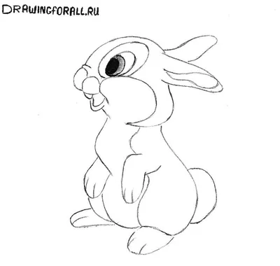 Как нарисовать зайца | DRAWINGFORALL.RU