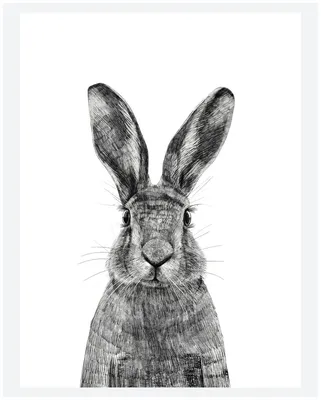 Постер SMILEWITHFRIENDS Портрет зайца 21х30 на бумаге в тубусе — купить в  интернет-магазине по низкой цене на Яндекс Маркете