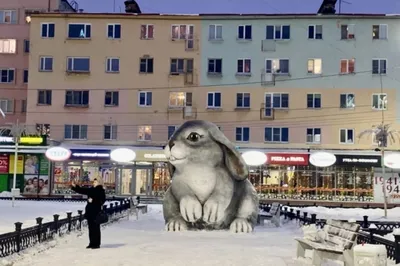 На площади в Мончегорске установили огромного зайца | ОБЩЕСТВО | АиФ  Мурманск