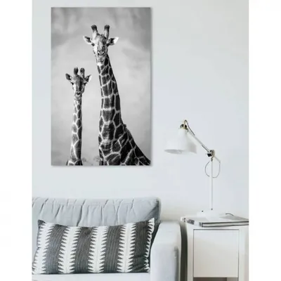 Картина на холсте Жирафы 70 х 110 см. купить в интернет-магазине, подарки  по низким ценам