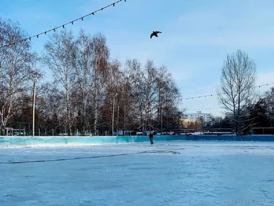 В Пензе планируется залить 33 хоккейные площадки — Новости — Пенза Взгляд