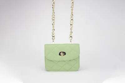 Свежий образ с зеленой сумкой