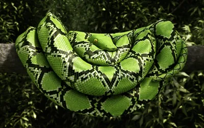 Искусственная искусственная игрушка змея бамбуковый лист зеленая змея  страшная Хэллоуин шутка страшный реквизит | AliExpress