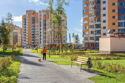 Купить 1-комнатную квартиру (вторичка) в ЖК Зеленый бор в Москве, цены на  вторичное жильё в ЖК Зеленый бор. Найдено 8 объявлений.