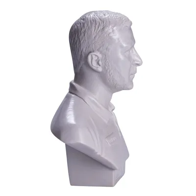 Бюст, статуэтка Владимир Зеленский 15 см цена | pigu.lt