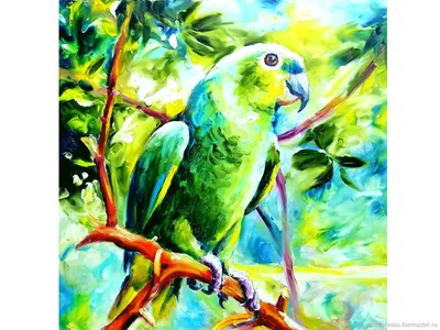 Parrotlet Bird Green, Зеленый попугай, животные, попугай png | PNGEgg