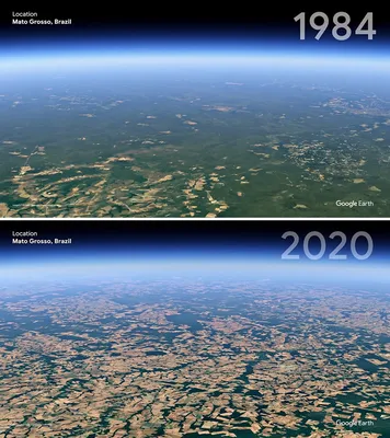 Спутниковые изображения Земли, показывающие негативное влияние человека –  Zagge.ru