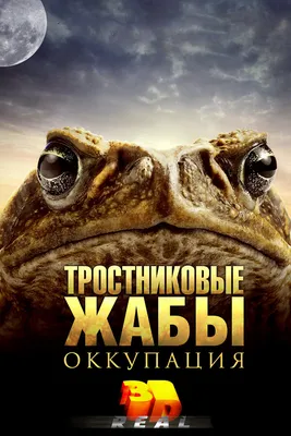 Тростниковые жабы: Оккупация, 2010 — описание, интересные факты — Кинопоиск