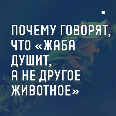 Откуда пошло выражение: «Жаба душит, жаба задушила»?» — Яндекс Кью