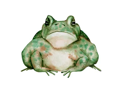 Жирная зелёная жаба с бородавками…» — создано в Шедевруме