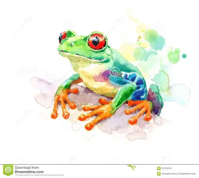 Жаба, животное лодкамиамфибии Иллюстрация штока - иллюстрации насчитывающей  фауна, зеленый: 102410915