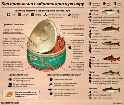 На берегу озера в Мурманской области обнаружили лягушачью икру |  Телекомпания ТВ21
