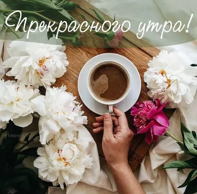 Необычные картинки с добрым утром. 70 оригинальных картинок. | Good morning  cards, Instagram posts, Good morning