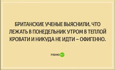 нерпа / смешные картинки и другие приколы: комиксы, гиф анимация, видео,  лучший интеллектуальный юмор.