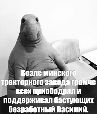 Создать мем \