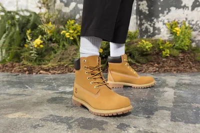 Купить Ботинки 6 Inch Premium Boot в официальном интернет магазине  Timberland (Тимберленд)