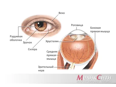 О чем говорит белое пятно в глазу - Новости здоровья - Здоровье 24