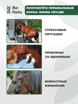 Форум Компаньон - 🐎Лошади. 🐴 Почему каждый ответственный владелец лошади,  владелец конюшни, с особым трепетом относится к организации кормления  лошадей? ... Потому что пищеварение лошади имеет ряд уникальных  особенностей, которые надо обязательно