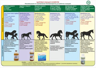 Подкормки для лошадей