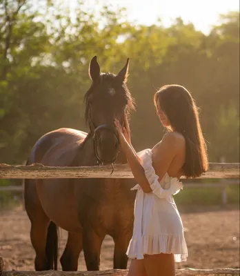 horse and girl 🥰 | Красивые лошади, Любовь лошадей, Фотографии лошадей