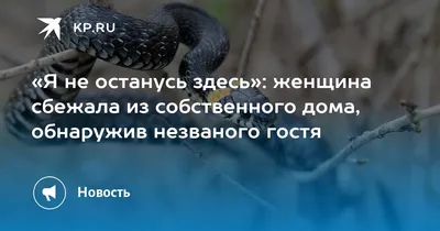 Фото Черная полосатая змея изгибается вокруг шеи молодой женщины