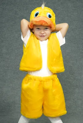 Детский карнавальный костюм Утенок. Купить по выгодной цене в  интернет-магазине Tops.com.ua