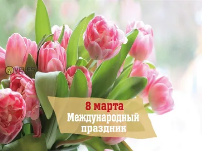 8 Марта - Международный женский день. История праздника: когда появился,  традиции, как празднуют | Kazakhstan Today