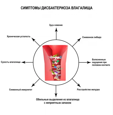 Stomatidine