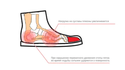 Виды и формы женских каблуков. Новости от интернет-магазина итальянской  обуви ITAITA.