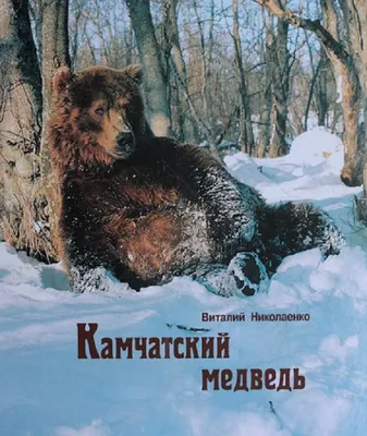 Когда медведь рядом...