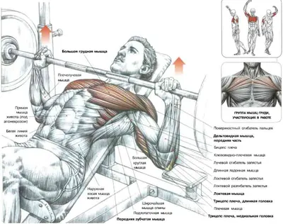 11 комплексов с жимом лежа, подборка WOD