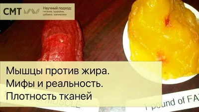 Названы продукты, \"превращающие\" жир в мышцы - РИА Новости, 10.10.2020