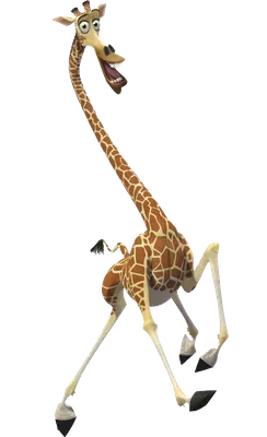 Жираф из мадагаскара фото