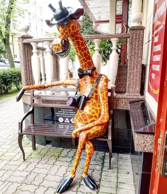 Жираф сочи фотографии