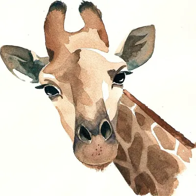 Жираф иллюстрация - 65 фото