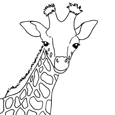 Рисунок жирафа для детей - 75 фото